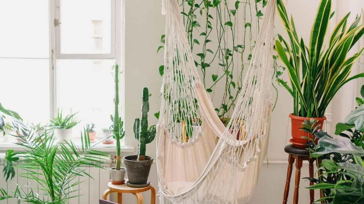 Boho-style room with including snake plants and trailing vines