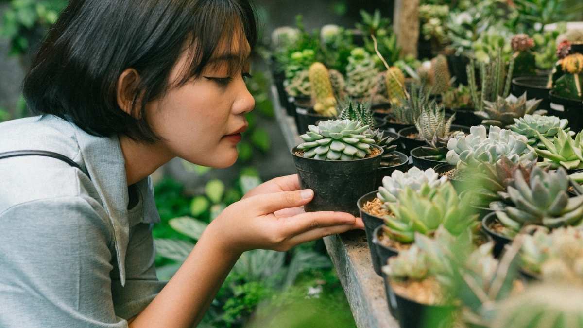 Woman browsing plant house at a local plant nursery