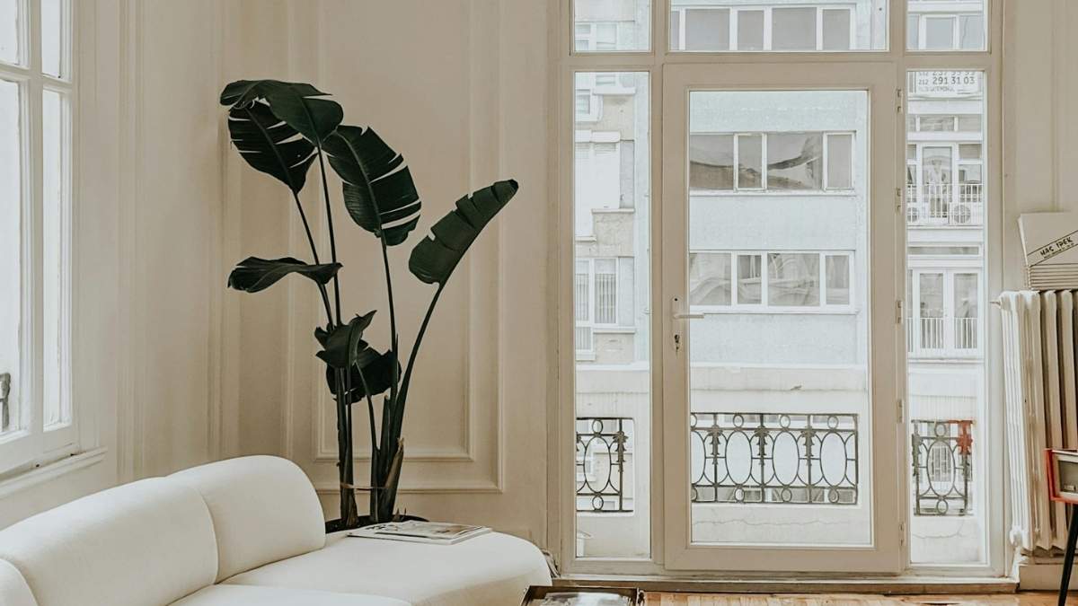  Minimalist white curved sofa, a clean furniture 